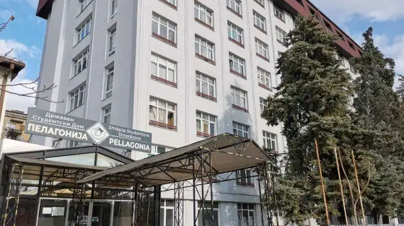 p3 fotor 20250921195717