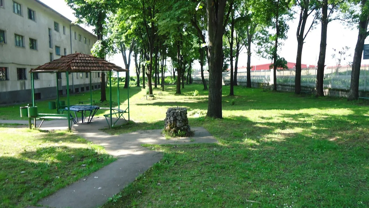 senik10 fotor 20250921194918